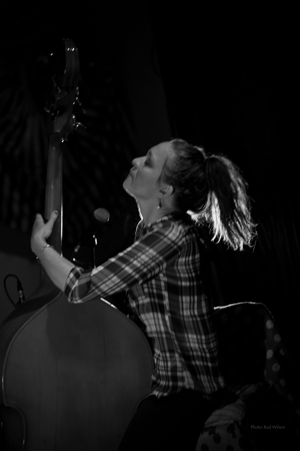 Blue Moon Marquee announce new&nbsp;album