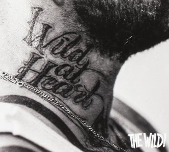 71ajudmw-1l-_sl1213_