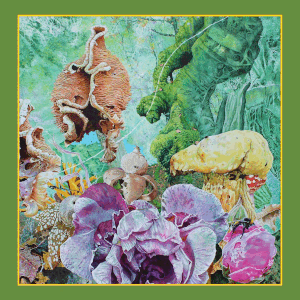 Fruits de Mer Records – Mark McDowell and friends and from Lovey Dove –&nbsp;videos