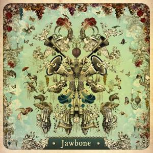 jawbone-cover-front1