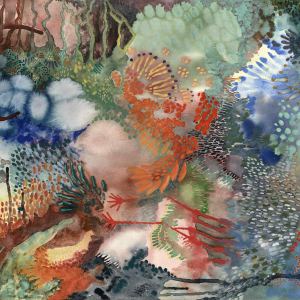 81pu7zbkqal._sl1200_