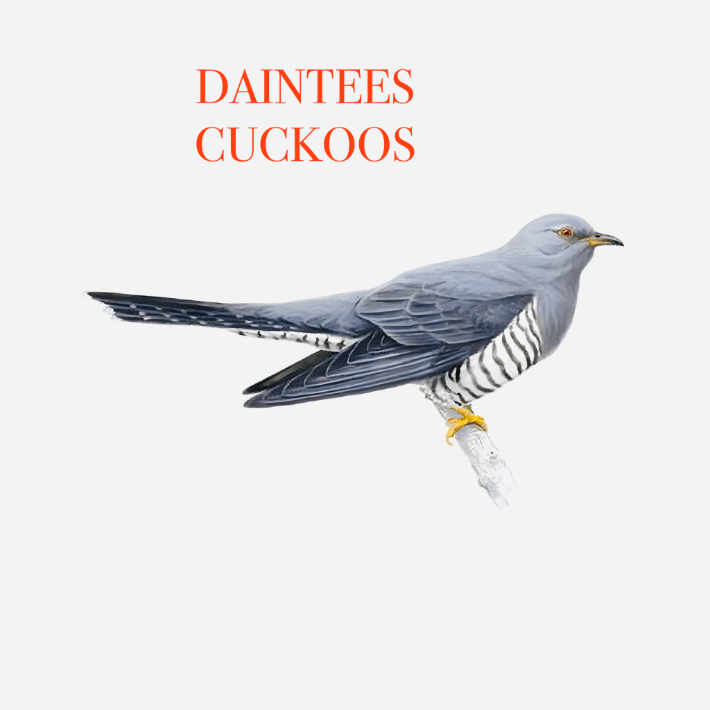 New Martin Stephenson & The Daintees, plus old Martin Stephenson & The&nbsp;Daintees