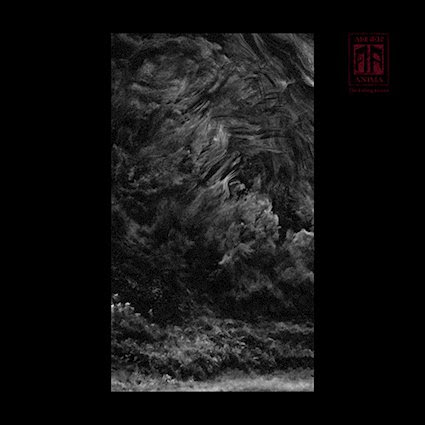 Aeger Anima releases ‘The Falling Leaves’ — black‑metal shaped by WW1 anti‑war poetry & sharp electronic&nbsp;intrusions.